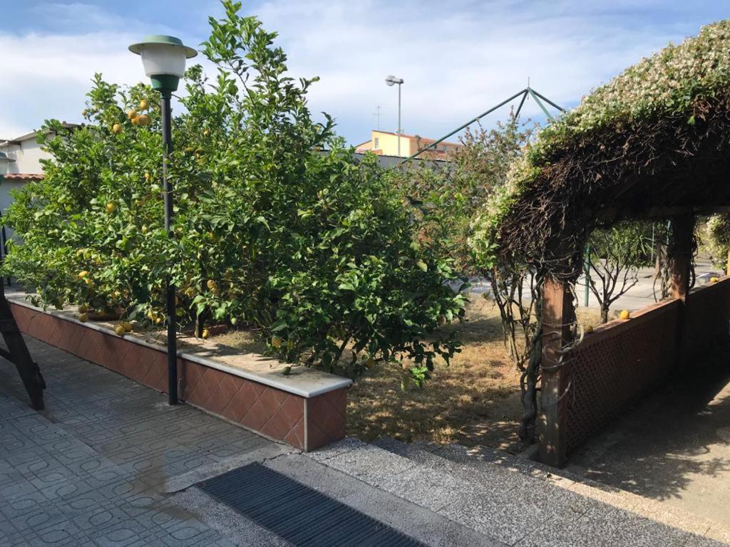 Mary Rose Bed & Breakfast Castel Volturno Exterior foto